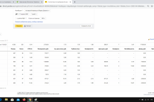 Создание и ведение РК в Я.Директе