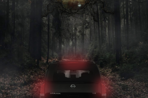 вечерний лес