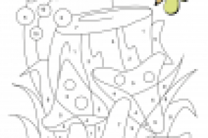 Раскрасска по цифрам