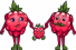 Логотип "Малинки"