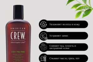 Инфографика