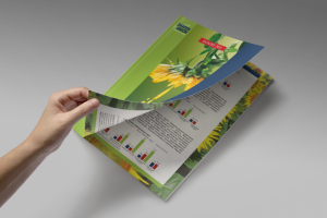 Работа 3893380