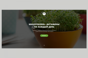 Сайт  здорового питания