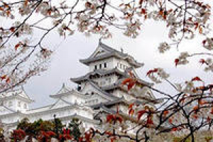 Ресторан японской кухни "Инари"