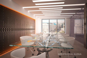 Office DM-Group Conference Rooom