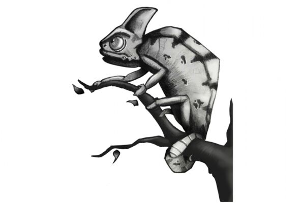 img4111177.png