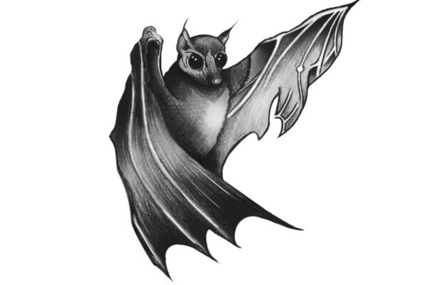 img4111183.png