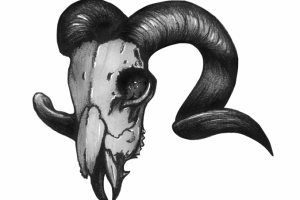 Эскиз (череп)