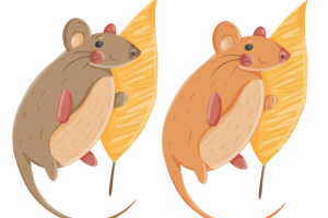 Персонаж для иллюстраций детской сказки