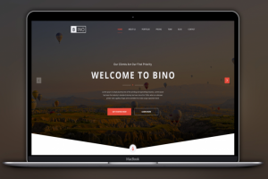 BINO