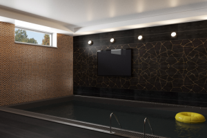 Бассейн вид 1