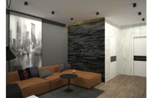 Квартира 45м2, вид2