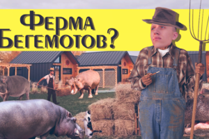 Обложка видео на ютуб