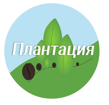 img4368243.png