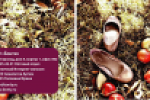 обложка для буклета