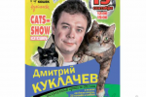 афиша к концерту