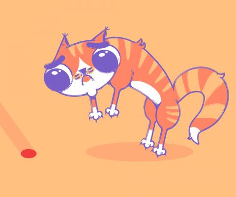 img4353324.png