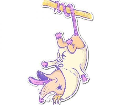 img4353322.png