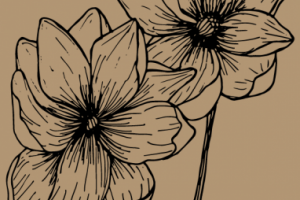 Цветы, нарисованы от руки