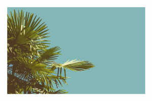 Трассировка фото