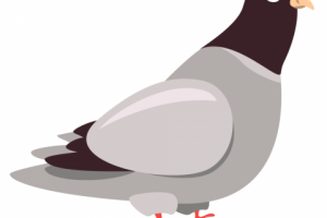 Персонаж для анимации