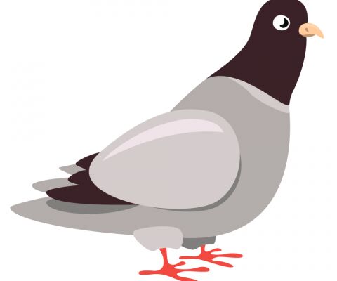 img4354392.png
