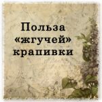 img2110388.png