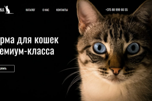 Интернет магазин кормов для кошек