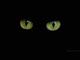 img2351905.png
