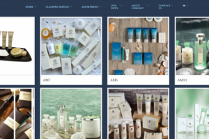 Тематический сайт N2