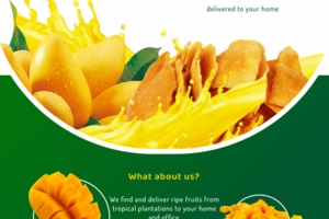FruitLivery website design