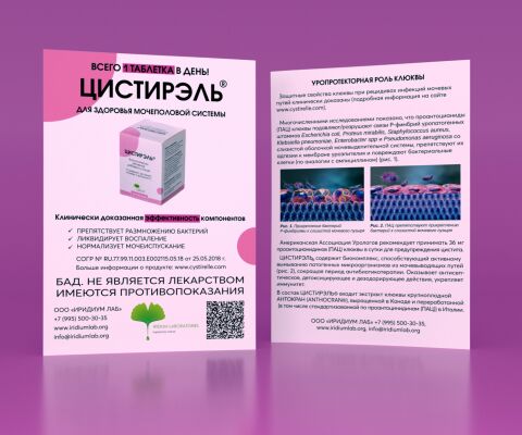img3815222.png