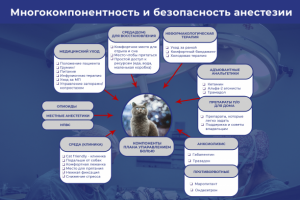 Презентация