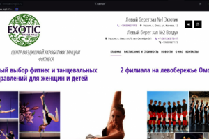 Сайт сети фитнесс-клубов. Продвижение в Яндекс.Директ