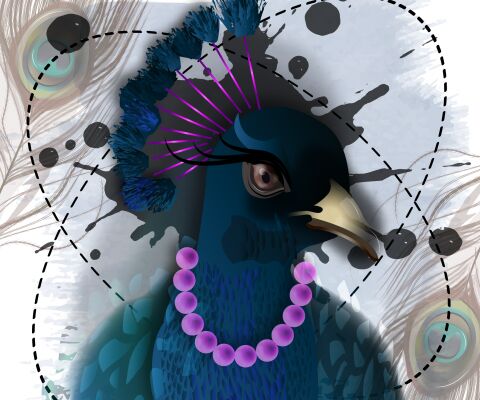 img4250113.png