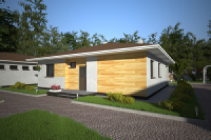 п. Висла. Проектирование и визуализация. Одноэтажный дом.