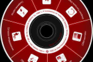 А-Реал Консалтинг презентационный диск компании