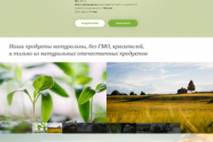 Дизайн сайта производителя натуральных продуктов питания