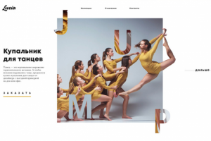 Создание сайта для производителя спортивных купальников