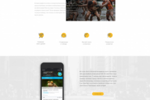 Создание сайта мобильного приложения