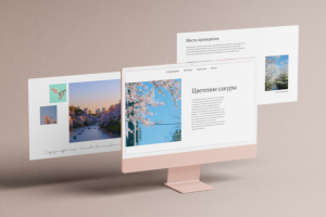 Праздник цветения сакуры | Longreed