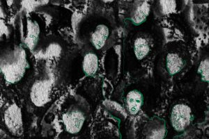 Музыкальный альбом проекта Albinoi 'Das Man'