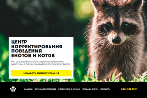 сайт для "центра корректирования поведения енотов и котов"