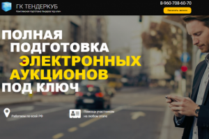 landing page tenderkub.ru