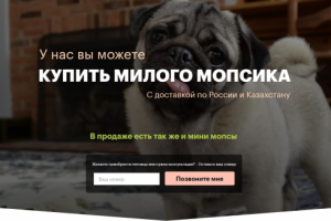 Сайт для питомника с мопсами
