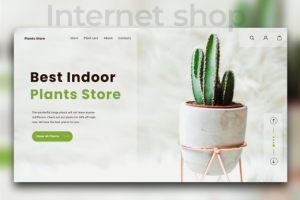 Интернет-магазин комнатных растений