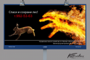 Социальная реклама против лесных пожаров