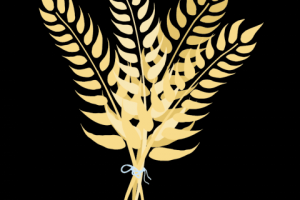 Gif Колосья пшеницы