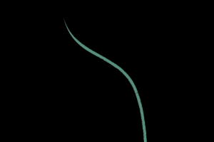 Работа 4093910