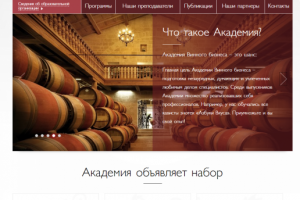 Аудит сайта академии винного бизнеса
